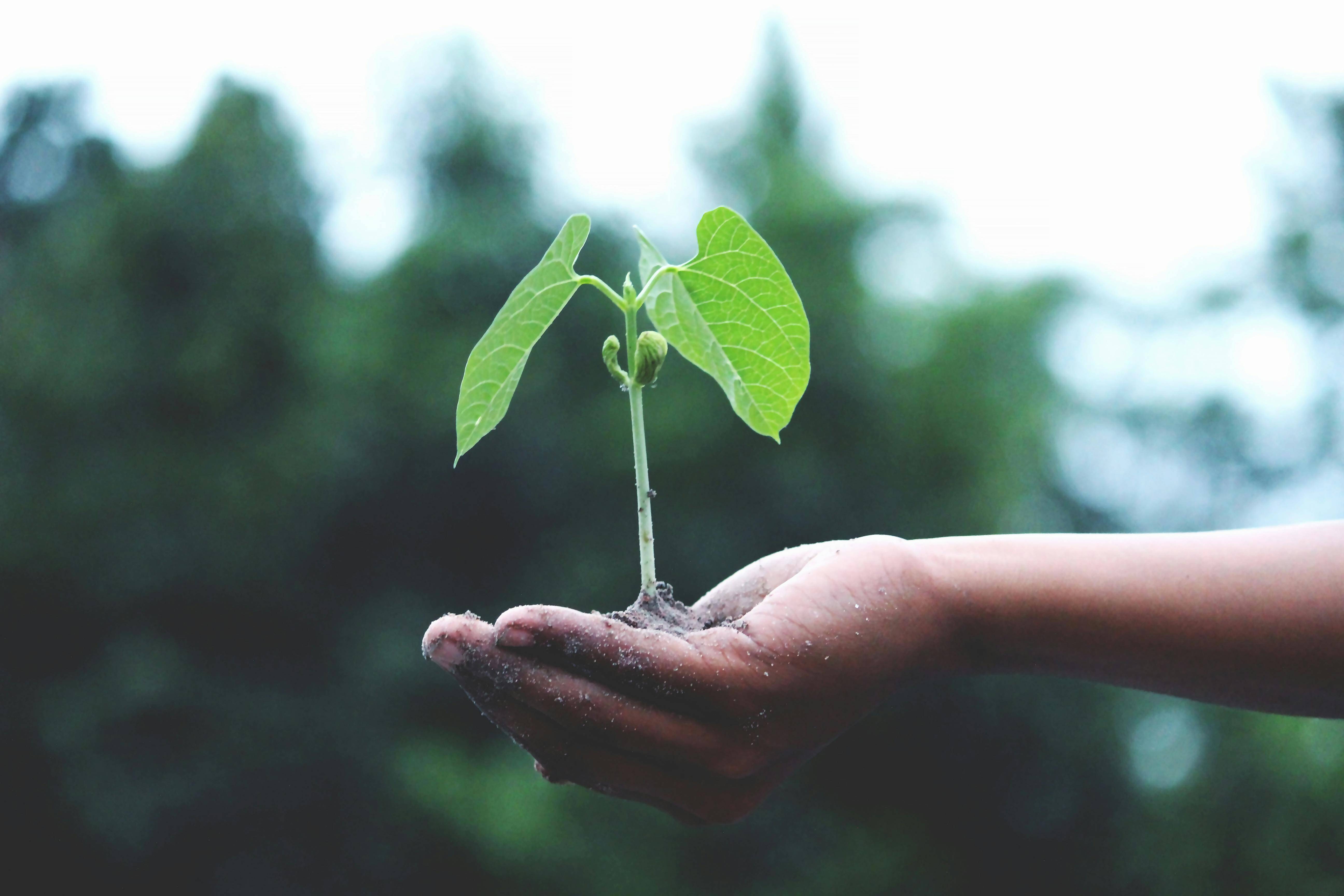 Cleancorp is Officially B Corp Certified!